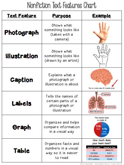 Free Text Features Chart - Teaching Made Practical