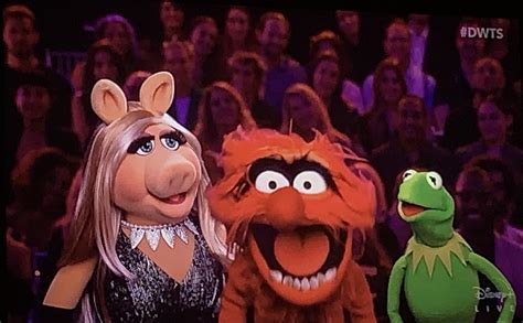 Muppet Stuff: The Muppets on Dancing With The Stars!