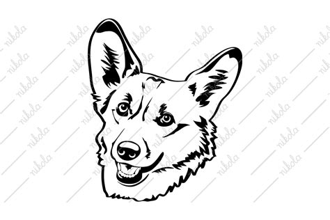 Corgi Clipart Graphic by nikola · Creative Fabrica