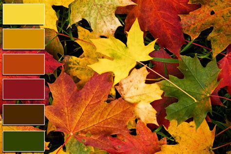 RGB Autumn Colors | schema colori rgb | Creative Pixel | Flickr