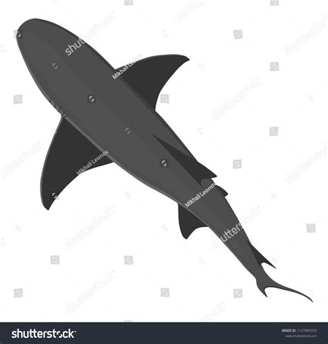 Grey Shark Vector Illustration