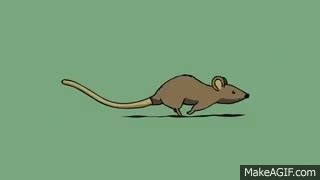 Little Rat Run cycle using ToonBoom Animation on Make a GIF