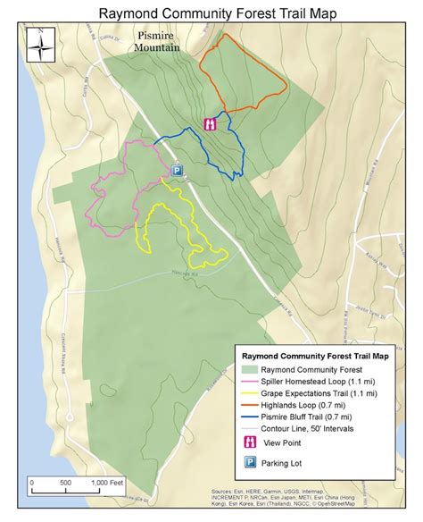 Raymond Community Forest, Raymond – Maine by Foot