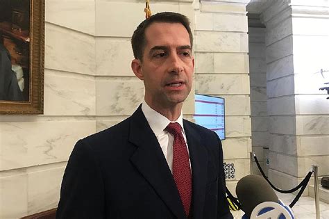 Bill by Sen. Tom Cotton targets curriculum on slavery | The Arkansas Democrat-Gazette - Arkansas ...