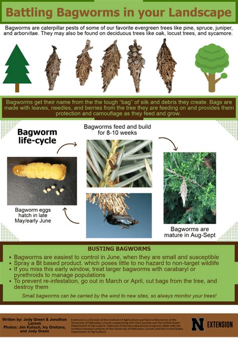 Battling Bagworms in your Landscape – GRO Big Red