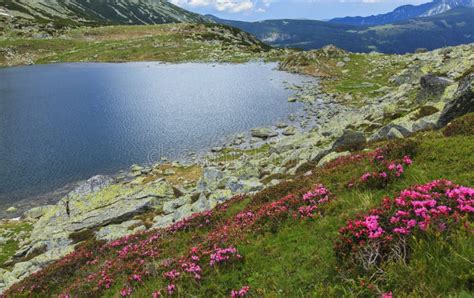 Beautiful Mountain Scenery in Summer Stock Photo - Image of tourism ...