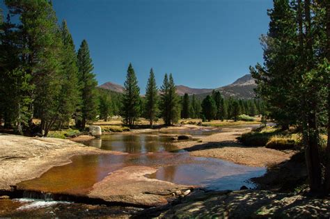 Visiting Yosemite National Park in Summer