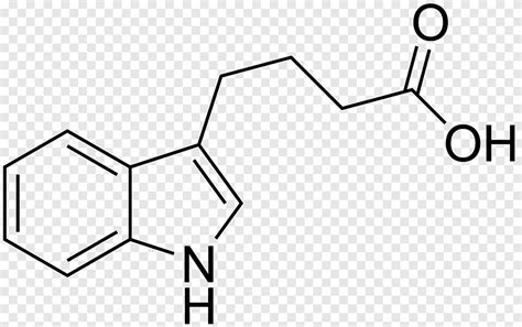 Indole-3-acetic acid Indole-3-butyric acid Auxin Plant hormone, angle, white png | PNGEgg