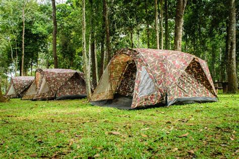 Tent camping in forest stock image. Image of fall, outdoor - 99727739