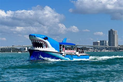 Things to Do in Clearwater Beach - for Adults and Couples! - Wandertooth