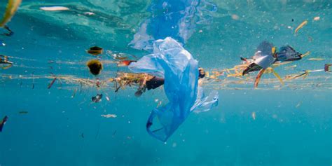 Plastic Pollution – The Toxic Debris Taking Over our Planet - Natural Wire