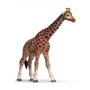 safari animals toys - kamaci images - Blog.hr