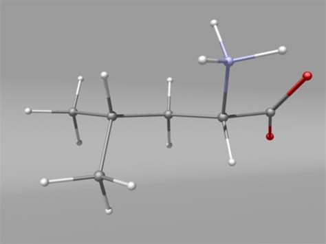 amino acids 3d obj