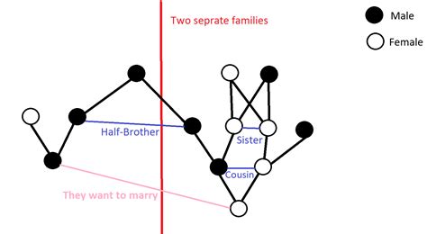 Is marriage with half-cousin's daughter more risky than marriage with ...