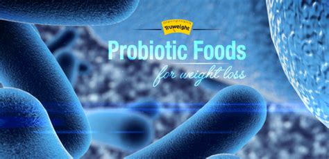 Probiotic Foods For Weight Loss | Weight Loss Diet Plan Tips | Possible