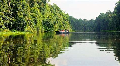 Tortuguero National Park | Tortuguero national park, National parks, Park