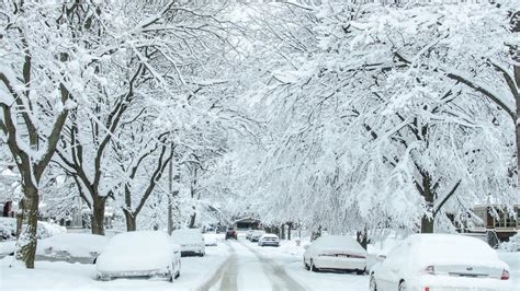 Winter's wallop: Michigan snowfall totals | WZZM13.com