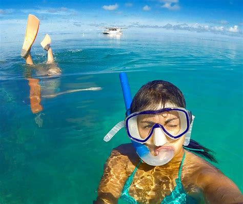 Whitsundays Snorkeling Tours - Price Guide - Online Live Availability ...