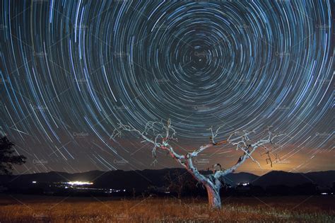 Star trails tree featuring star, trails, and tree | Nature Stock Photos ~ Creative Market