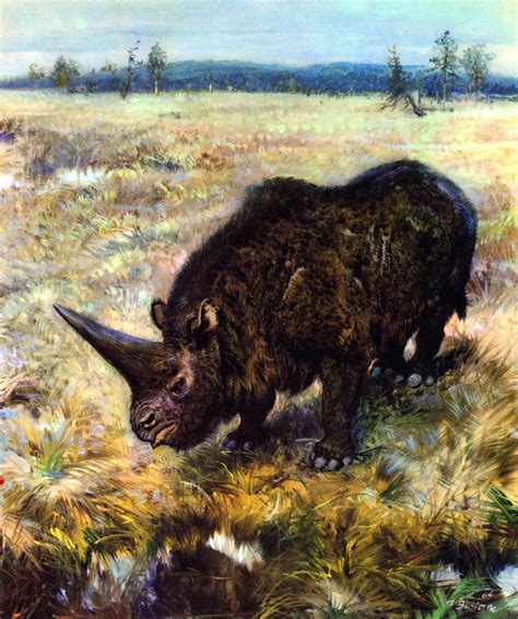 Elasmotherium Sibiricum Illustration by Zdenek Burian, 1964 "The Age of ...