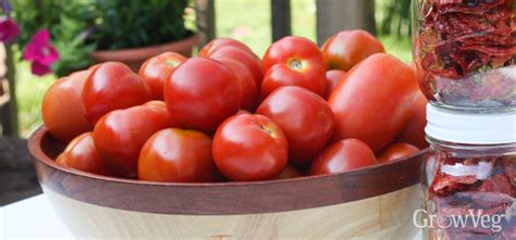 Determinate Tomato Varieties You Can Depend On