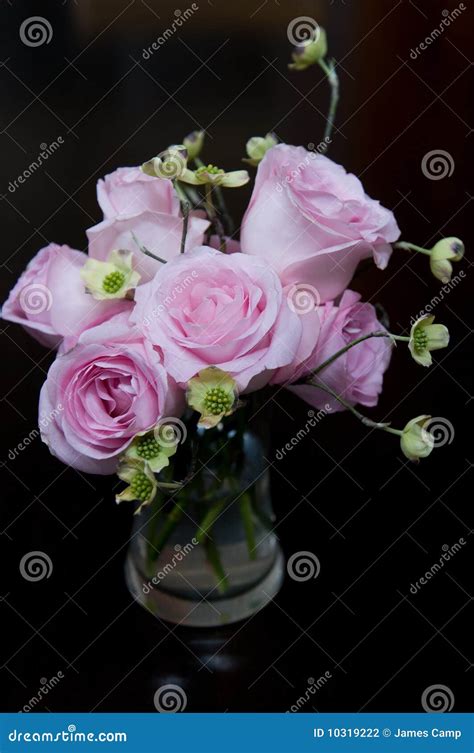 Flower arrangement stock photo. Image of soft, peace - 10319222