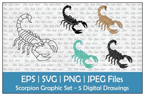 Scorpion Outline, Silhouette & Color Clipart Set