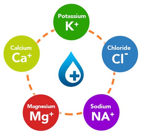 What are electrolytes? - Ozzie Small