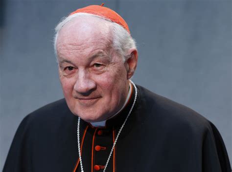 Vatican cardinal rebukes Vigano: accusations against Francis 'political ...