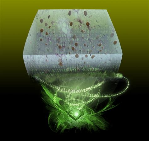 Hologram technology could lead to improved diagnoses of chronic ...