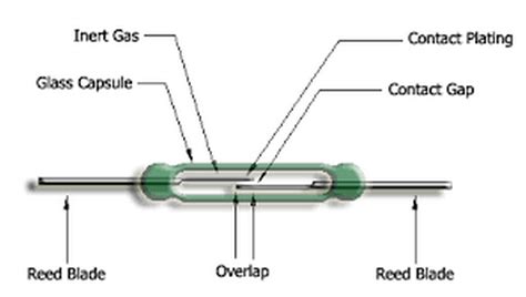 Reed Switch Sensor in Pakistan | Magnetic Door Switch