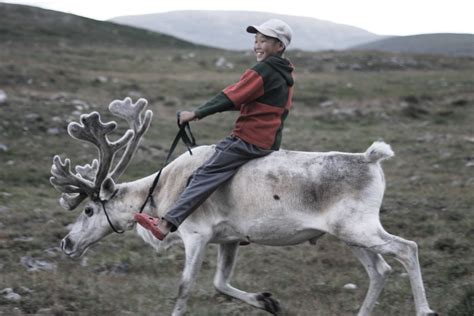 riding reindeer | cooltrudy | Flickr