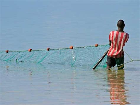 The History of Seine Fishing | US Harbors