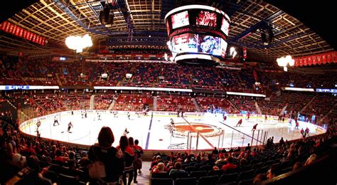 Flames new arena could be long, drawn out process - Sportsnet.ca