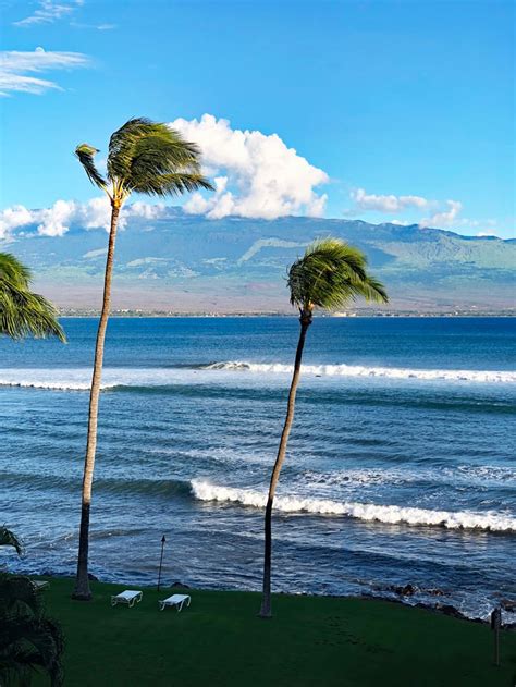 8 Reasons Why You Should Stay In Maalaea - All About Maui Blog