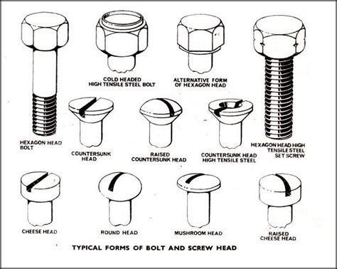 bolt types | Bolt, Screws and bolts, Tool room