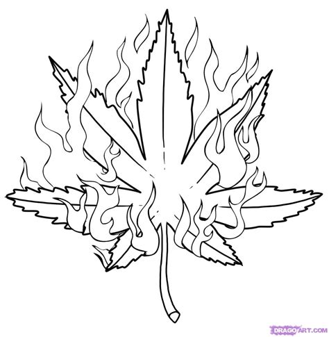 Free Pot Leaf Drawing, Download Free Pot Leaf Drawing png images, Free ClipArts on Clipart Library