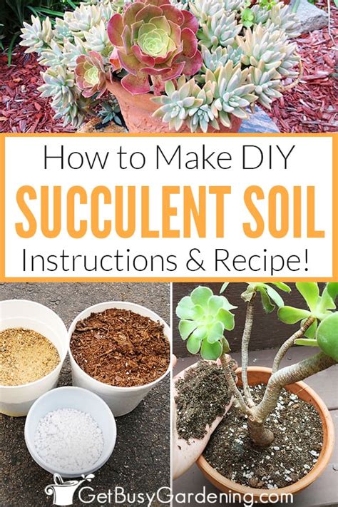 How To Make Your Own Succulent Soil (With Recipe!) | Best soil for succulents, Succulent garden ...