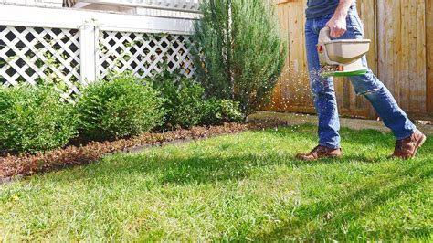 Winterizing Your Lawn: Best Fertilizer for Winter