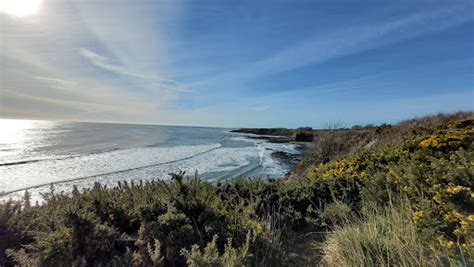 Northumberland Coast AONB in - Zaubee