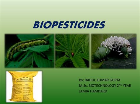 Biopesticides