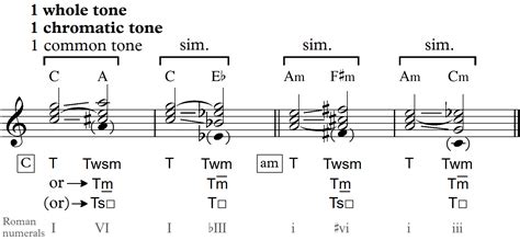 Introduction to chords and functions: Chromatic and double chromatic ...