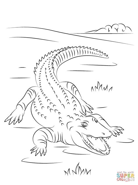 Cute Nile Crocodile coloring page | Free Printable Coloring Pages