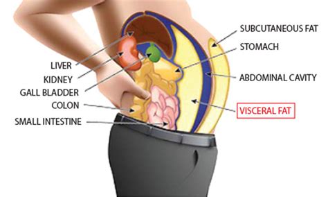 Benefits Of Using Abdominal Subcutaneous Tissue And | www.informationsecuritysummit.org