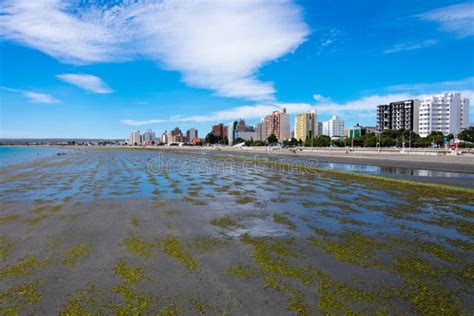 Puerto Madryn City View and the Beach with Seaweed Editorial ...