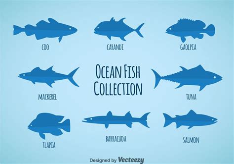 Ocean Fish Collection - Free Vector Art