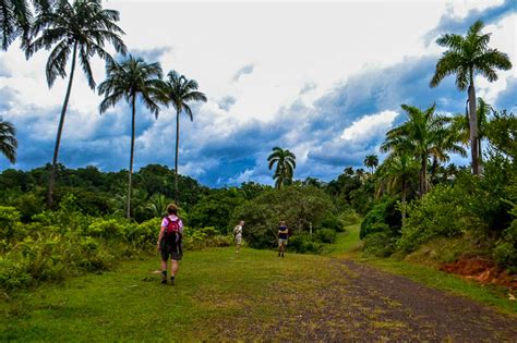 Alejandro de Humboldt National Park: Cuba's Masterpiece of Biodiversity