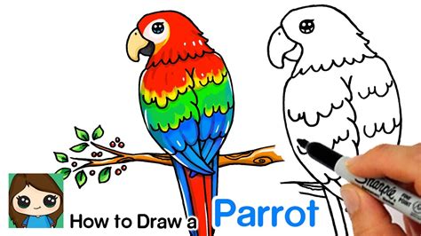 How To Draw A Parrot First extend a curved line downward from the head