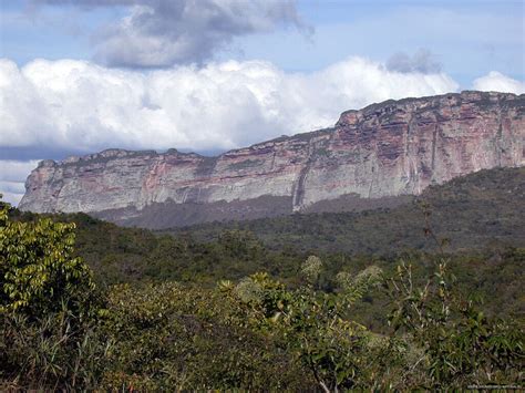 The Forgotten Biomes of Brazil. ~ TOUR GUIDE