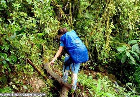 SIRANG LENTE: Hiking Mt. Halcon | Oriental Mindoro